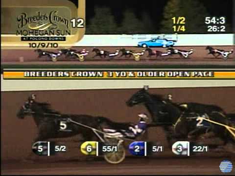 2010 Breeders Crown Open Pace - theharnessedge.com