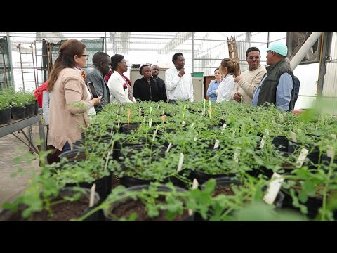 Policy and Biosafety Briefing 09