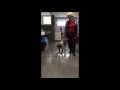 Roza Accident Dyspnoea And Disability To Walk