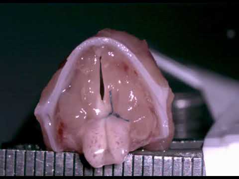 Caméra portable à grande vitesse - Gamme HHC X pour l'industrie pharmaceutique, agroalimentaire, biologie, exploitation minière et troubleshooting_3