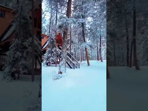 Фото место спокойствия.. Хижина в лесу