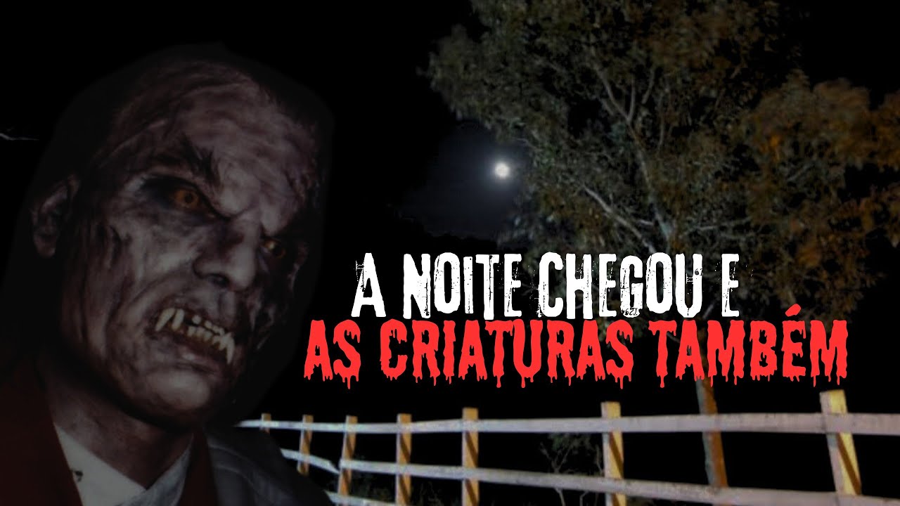 QUANDO CAI A NOITE ELAS VEM SE ALIMENTAR.