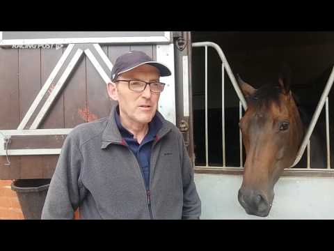 Darley July Cup: The Tin Man