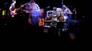 Stephen Malkmus & The Jicks "Animal Midnight"