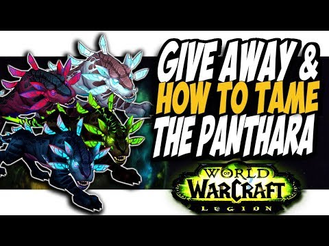 How to tame panthara!! Common to Rare hunter pets On The Hunt WoW Legion patch 7 3