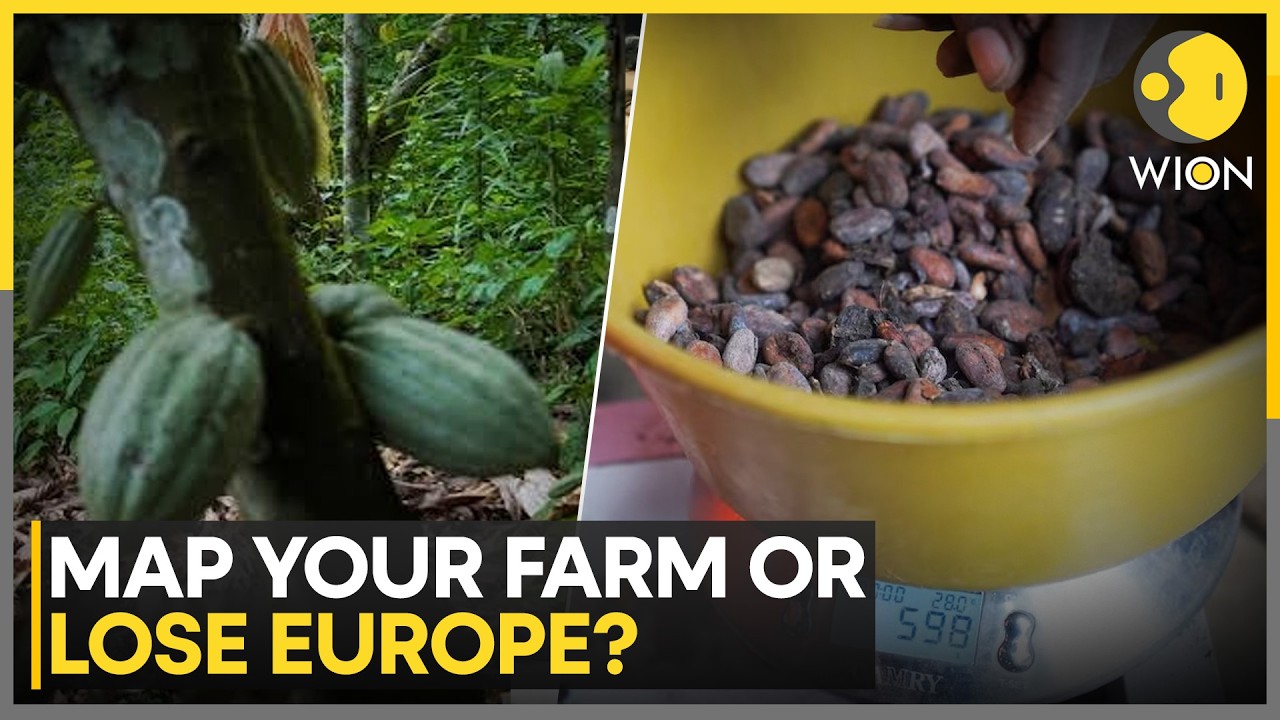 EU Rules Put Nigeria’s Cocoa Trade At Risk | WION World Business Watch