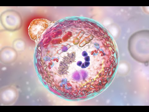 MMP & TIMPs in Skincare | Professional Skincare Training