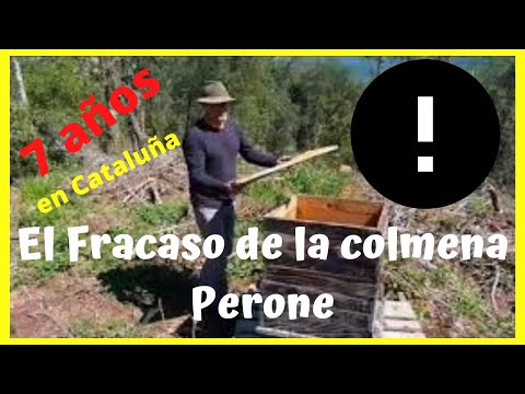 📉El FRACASO ⬇️ de la colmena 🙈 PERONE