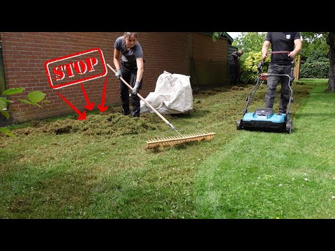 Moos im Rasen dauerhaft entfernen | vermeide unbedingt diesen Fehler!