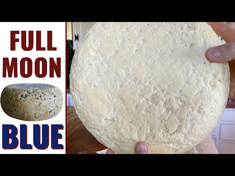 You Have Got To Make This INCREDIBLE Blue Cheese