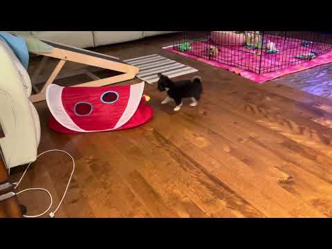 Elyse and Marcel at two months old