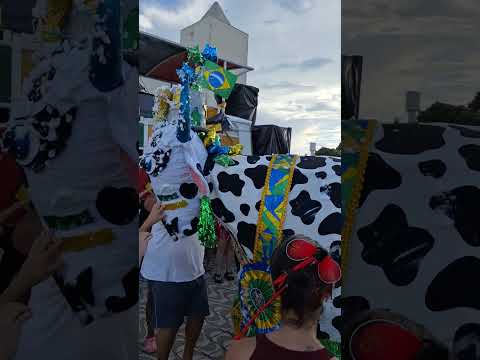 Bloco da Vaquinha 2026,  Porto Ferreira SP. #carnaval #portoferreira #viral