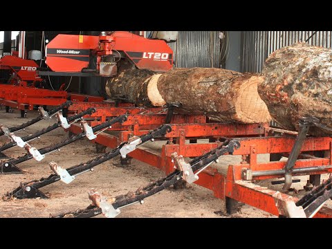 Rubberwood production in Liberia | Wood-Mizer Africa
