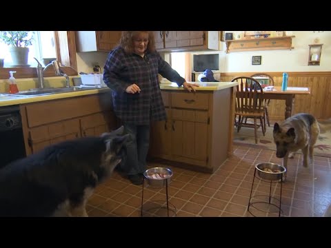 U.S. pet owners are increasingly feeding fresh food to their dogs and cats. Some order pre-proportioned meals of meat and vegetables or frozen raw meat online; others find them at in refrigerators at big retailers like Walmart and butchers. (April 3)