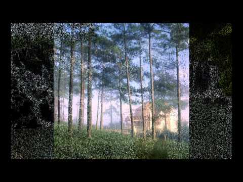 Phiên khúc buồn trên phố thông xanh Sheet - Xuân Phú