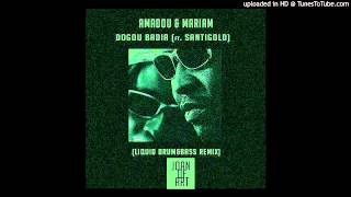 Amadou &amp; Mariam ft. Santigold - Dougou Badia (Joan of ART Remix)