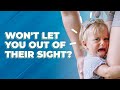 Clingy Babies - What Every Parent Needs to Know (Including How to Stop The Tears)