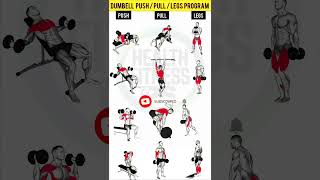 FULL BODY TRANSFORMATION 🔥 Dumbbell Push Pull Legs Workout 🏋️‍♂️💪 #shorts #fitness #gymworkout #gym