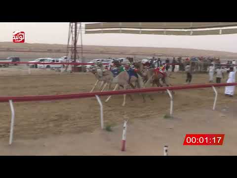  ش 1 (الشاهينيه) لـ سيف علي بن سليمان الكتبي 2:12 , شارة الصندوق 2026/03/21 فطامين الجبيب