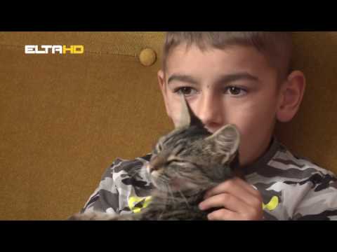 BL HRONIKA 01 11 16 - PORODICA KOSTADINOVIC