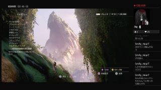 【アンチャーテッド4】Erikさんまち枠