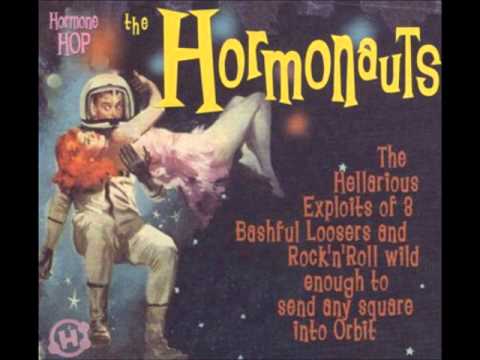 The Hormonauts - We are the Hormonauts