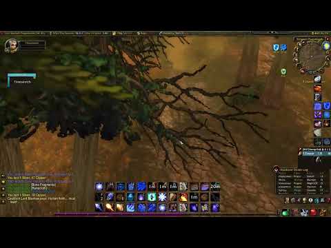 53 Mage Hardcore World of Warcraft NEAR Death Western Plaguelands