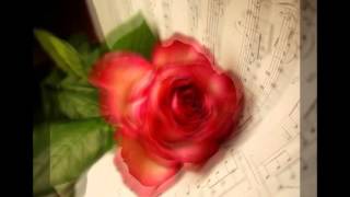 Los Temerarios-Por Ti Mis Amores