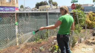 Obsessives - Urban Farming