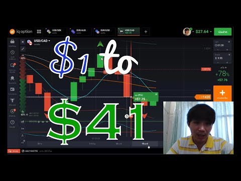 Binary options pantip