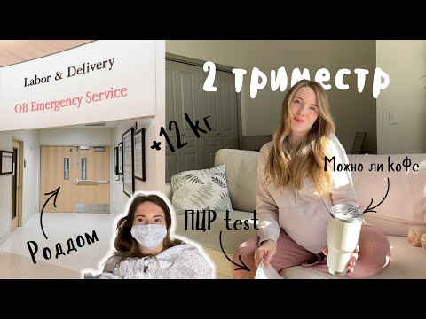 Ответы на вопросы. Набор веса, нормы в США