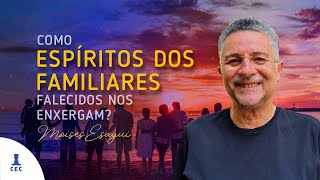 Como os Espíritos dos Familiares Falecidos Nos Enxergam? (Programa Consciência e Evolução)