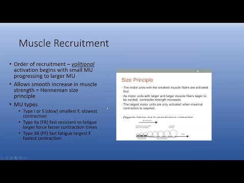 Addressing Muscle Atrophy with Post op Knee Patients