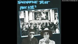 Saccharine Trust - Young Lamb