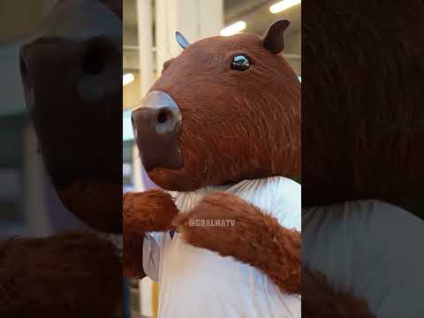 FEIRA DA LOUÇA DE CAMPO LARGO #parana #humor #gralhatv #comedia