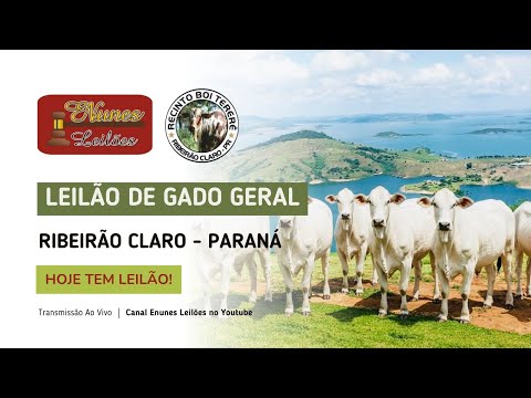 Leilão de Gado Geral | Enunes Leilões | 23 de Janeiro | Ribeirão Claro-PR