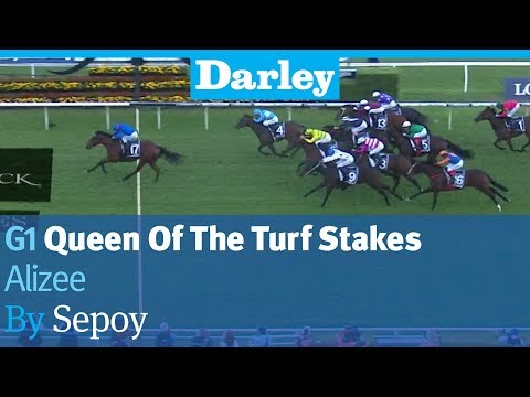 Alizee by Sepoy wins the G1 Queen Of The Turf Stakes at Randwick