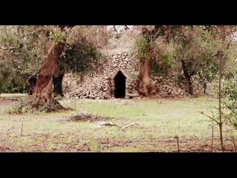 Taranta (Homage to Salento) Alessandro Ferrari - chitarra classica - pizzica - Maurizio Colonna