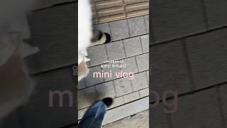 ソウル在住日本人の退勤後vlog