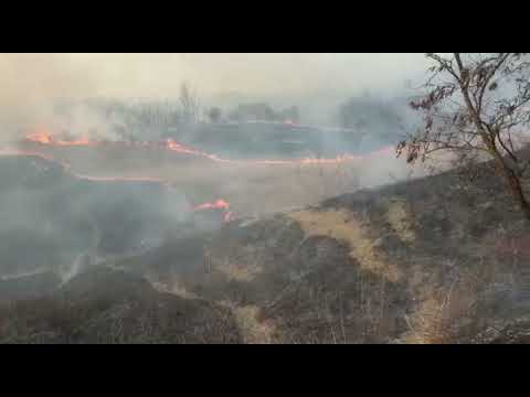 Incendiu de vegetație la Apostolache