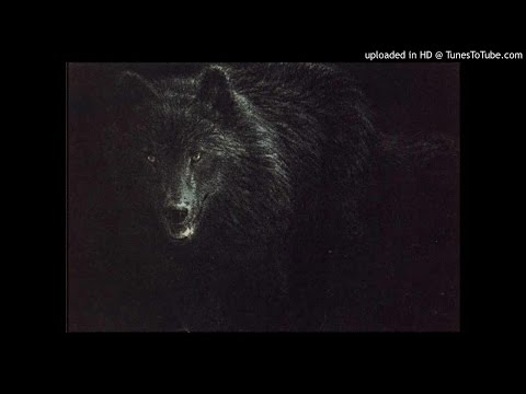 Dom95 x Oldtruko - Tormental