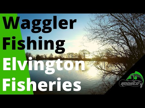 Waggler Fishing for Roach & Bream at Elvington Fisheries York