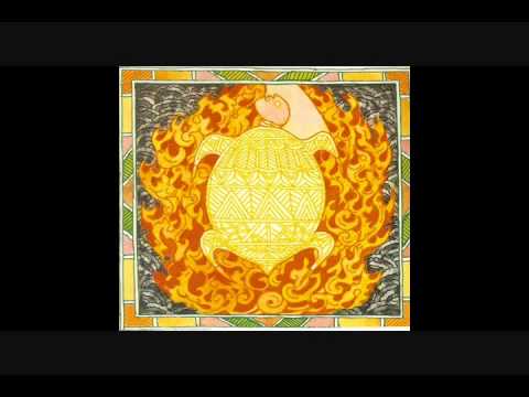 汚染された海洋