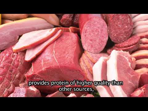 What is the value of Protein