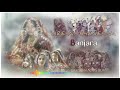 Vireanaa Bhenea Na Balaala | BANJARA SONG |BANJARA KING BUNNY