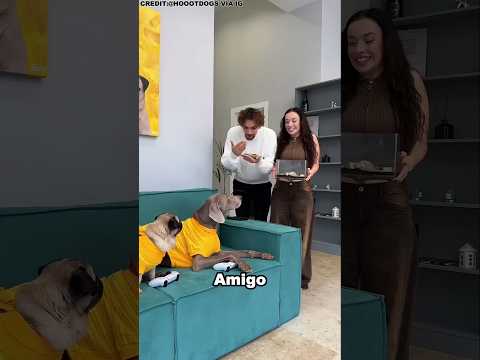 Culpó al equivocado ... La verdad salió en cámara 😳🐾 #shorts #reels