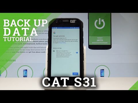 How to Back Up Data in CAT S31 - Allow Google Backup |HardReset.info