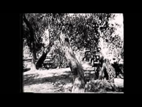 The Death Trap (1943)