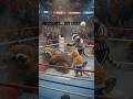 Everyone Laughed at the Tiny Cal He Defeated the Giant Bear and  Entire Arena! 🥊🐻 #Shorts #CatVsBear