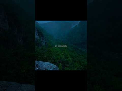 Reel tagged #lyrics